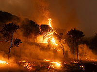 В Греции бушуют лесные пожары, десятки арестованных по подозрению в поджоге