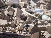 МВД Марокко: жертвами землетрясения стали более 1300 человек