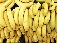 Сторонники судебной реформы привезли к зданию Верховного суда груз бананов