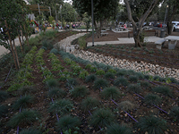 В Иерусалиме появится новый парк с прудом на месте "асбестового парка"
