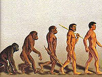 Израильские ученые представили Универсальную теорию эволюции человека