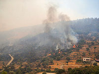 Ливан возлагает на Израиль ответственность за лесные пожары