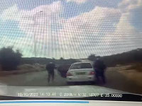 Поймана арабская банда, грабившая водителей в Самарии