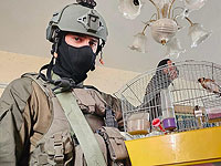 Во время оперативной работы в Шхеме военнослужащие спасли охраняемых птиц