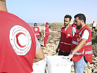 Сотрудники международной организации "Красный Крест"