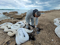 В заповеднике Шикмона ликвидировано загрязнение пляжа нефтяными отходами