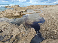 В заповеднике Шикмона ликвидировано загрязнение пляжа нефтяными отходами