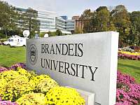 Университет Брандейса запретил деятельность организации "Студенты за справедливость в Палестине"