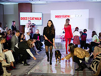 "Собачья мода" в Будапеште: участники ищут новый дом. Фоторепортаж