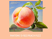 Компания Pantone объявила цвет года: им стал Персиковый Пух
