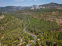 Минстрой продвигает проект жилого района на месте лесов в Иерусалиме, мэр столицы против