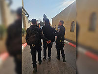 Отрубленная голова осла на мусульманском кладбище в Иерусалиме: арестованы подозреваемые