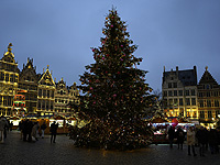 В Бельгии женщина погибла из-за того, что на нее упала рождественская ель