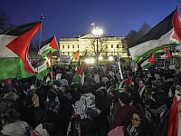 В Вашингтоне проходит акция в поддержку Газы
