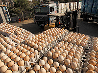 Минсельхоз увеличил квоту беспошлинного импорта в Израиль до 30 миллионов яиц