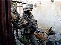 Завершена 45-часовая антитеррористическая операция в Туль-Кареме
