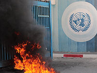 Директор UNRWA в Газе заявил о жертвах в результате удара ЦАХАЛа