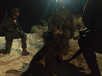 Операции ЦАХАЛа в Иудее и Самарии в ночь на 25 декабря: военные действовали в Рамалле, Хевроне, Калькилии