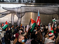 Галерея Pace в Нью-Йорке не открылась из-за вандализма пропалестинских активистов