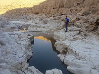 БАГАЦ обязал концерн "Кимикалим ле-Исраэль" заплатить 115 млн за восстановление ручья Ашалим