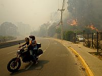Жертвами лесных пожаров в Чили стали около 50 человек