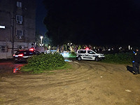 Полиция сообщила, что в Холоне убит гражданин Грузии