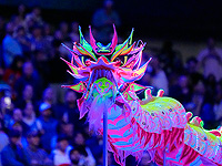 Начался год Дракона: празднование в Китае и по всему миру. Фоторепортаж 