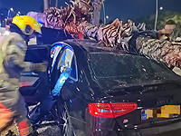 В Ришон ле-Ционе водитель получил травмы, врезавшись в пальму