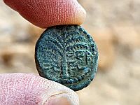 "Первый год возрождения Израиля": в Иудейской пустыне найдены монеты восставших евреев