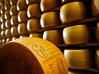 Объявлены результаты тендера на беспошлинный импорт сыров