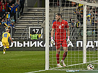 Сборные Украины и Польши вышли на чемпионат Европы по футболу