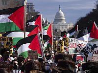 Итоги Гарвардского опроса: 13% американцев положительно относятся к ХАМАСу

