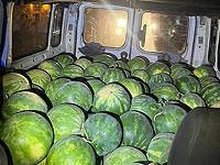 Задержаны жители ПА, похитившие 2 тонны арбузов в кибуце Альмог