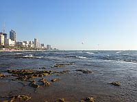 Теплая погода на пляжах Средиземного моря в Израиле: медуз стало меньше, но надо быть осторожными
