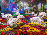 Миллионы цветов: выставка в Тель-Авиве. Фоторепортаж