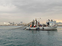 30 апреля вступает в силу мораторий на ловлю рыбы в Средиземном море