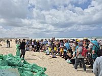 200 волонтеров отозвались на приглашение Андрея Макаревича убрать мусор на "черепашьем" пляже