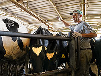 Совет молочных хозяйств опубликовал отчет за год: 20% молока производят под обстрелами