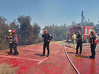 Пожар распространился на территорию Музея Израиля в Иерусалиме