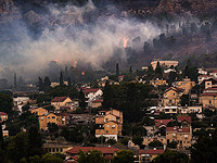 Пожары на севере Израиля: в Кирьят-Шмоне сгорели несколько домов