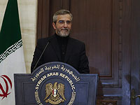 Исполняющий обязанности министра иностранных дел Ирана Али Багери-Кани