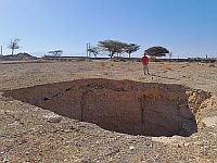 Около Мертвого моря спасли провалившегося в яму нубийского горного козла
