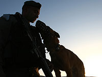 В ходе перестрелки ЦАХАЛа с террористами в Кабатии погибла боевая собака подразделения "Окец"