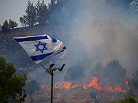 Израиль в огне: 45 тысяч дунамов выжженной земли за две недели. Фоторепортаж
