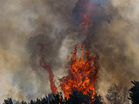 Лесной пожар приближается к поселку Амука