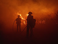 Лесные пожары в Калифорнии. Фоторепортаж