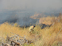 Сильный полевой пожар в Галилее, для тушения задействована специальная авиация