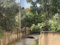 Источники в ПА сообщают о шести убитых в бою с израильскими военными в Дженине
