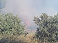 Сильный пожар бушует в лесу Шореш возле шоссе Тель-Авив – Иерусалим