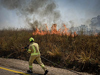 Масштабный пожар в районе Пальмахим: горит сухая трава и кустарник